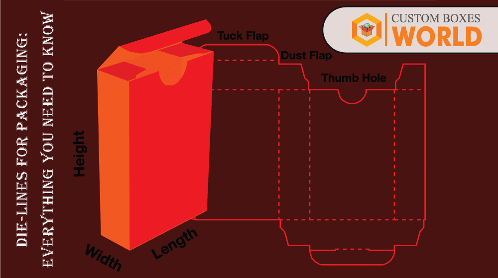 Die-lines for Packaging: Everything You Need to Know
